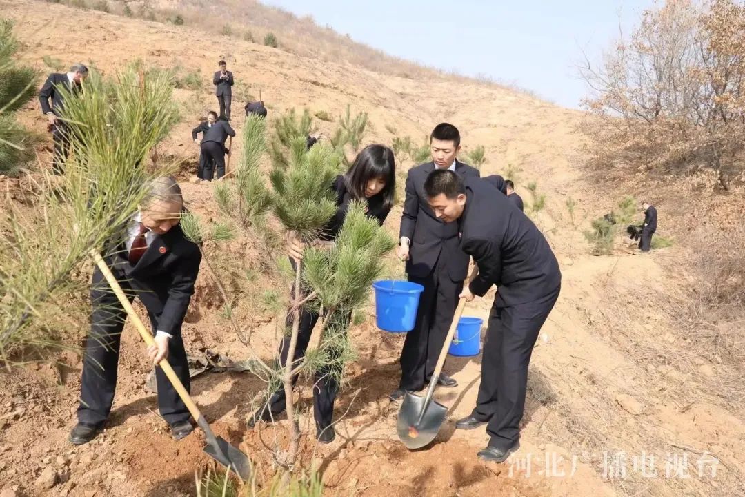微信图片_20230313153105.jpg