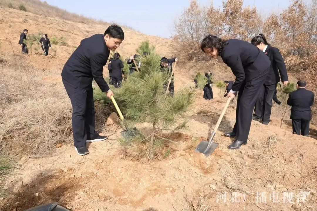 微信图片_20230313153100.jpg