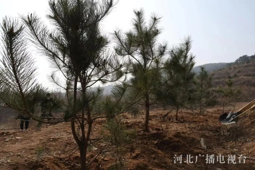微信图片_20230313153110.jpg